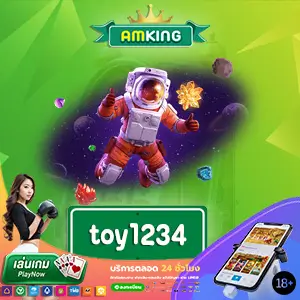 toy1234